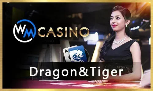 Jililove Casino Table Games